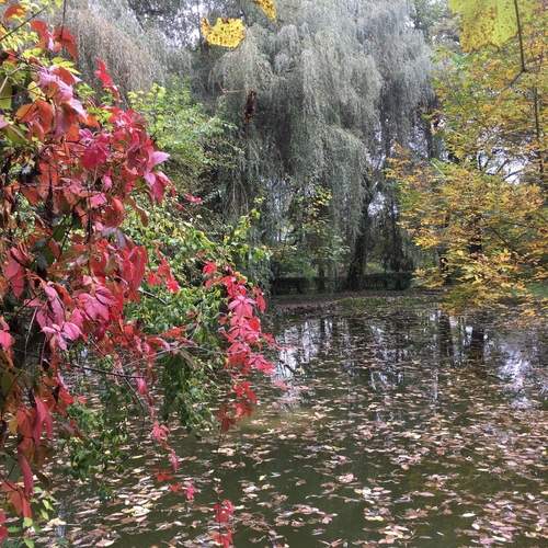 Photo #12002631