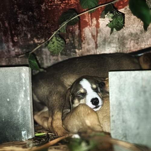 Photo #12002709