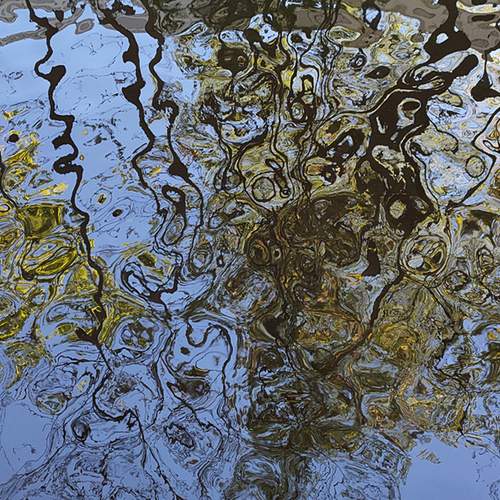 Photo #12002736