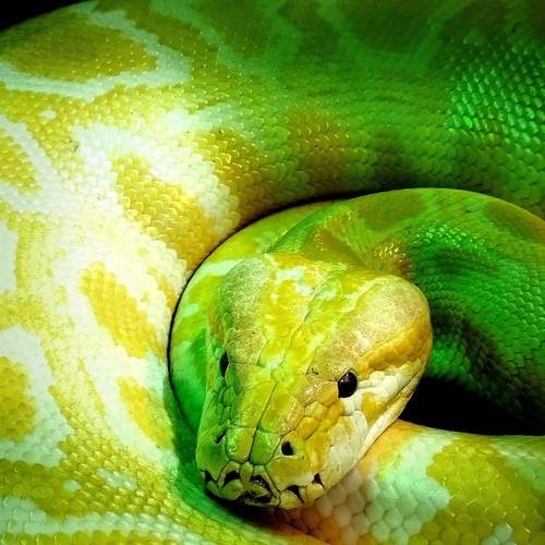 Photo #12002801