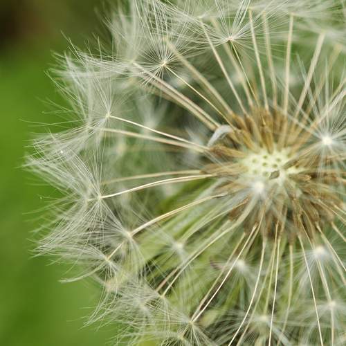 Photo #12002812