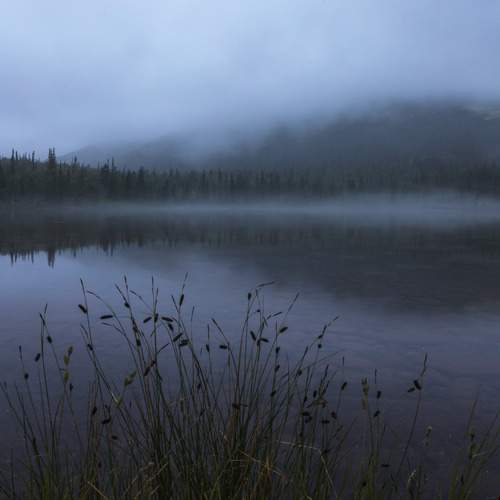 Photo #12002813