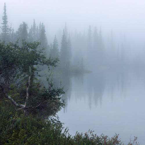 Photo #12002814
