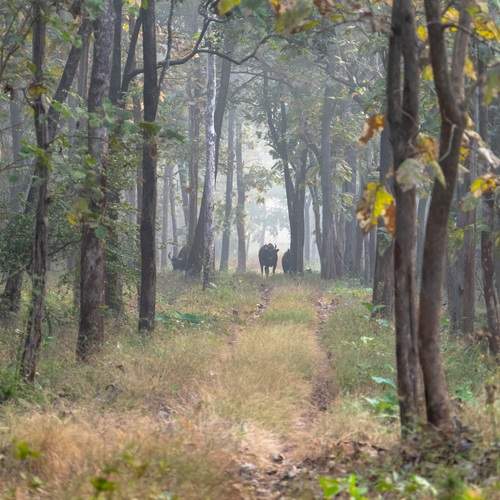 Photo #12003001