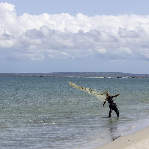 Photo #12003003
