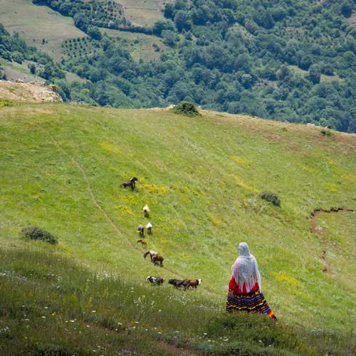 Photo #12003061