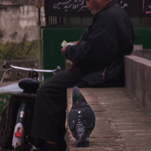 Photo #12003085