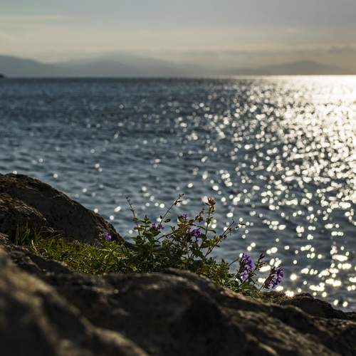 Photo #12003102