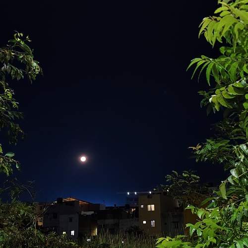 Photo #12003185