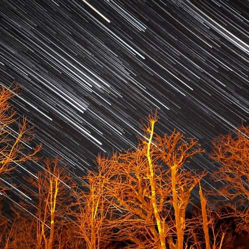 Photo #12003214