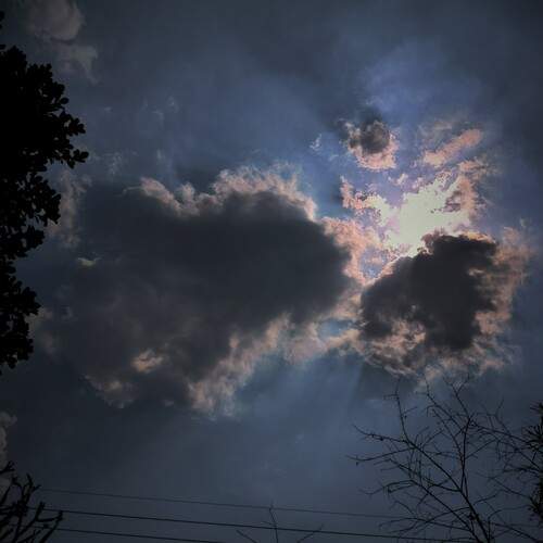 Photo #12003240