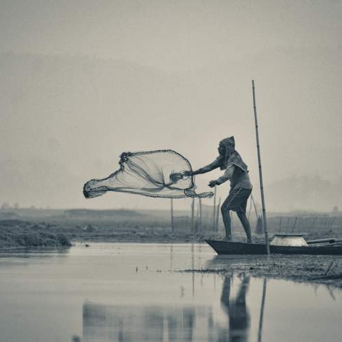 Photo #12003266