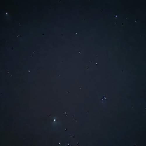 Photo #12003501