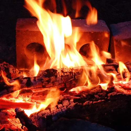 Photo #12003570