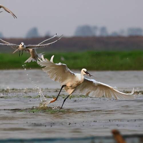 Photo #12003787