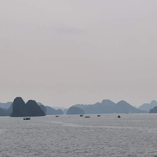 Photo #12003975