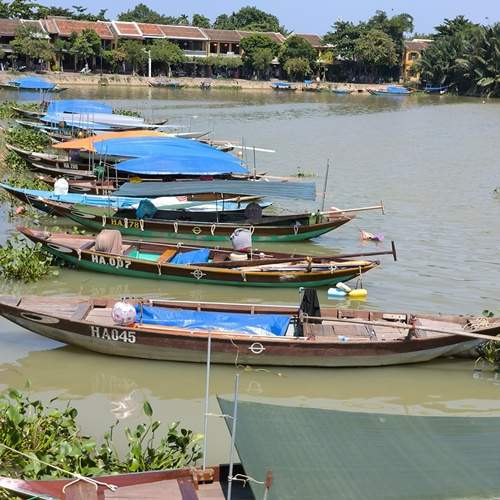 Photo #12004045