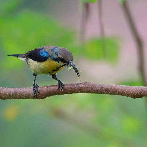 Photo #12004046