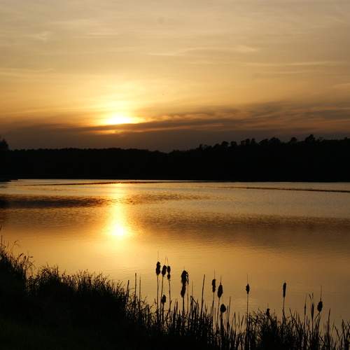 Photo #12004126