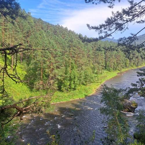 Photo #12004322