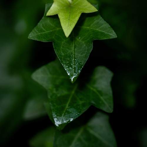 Photo #12004328