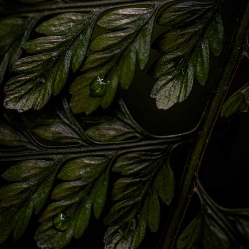 Photo #12004331