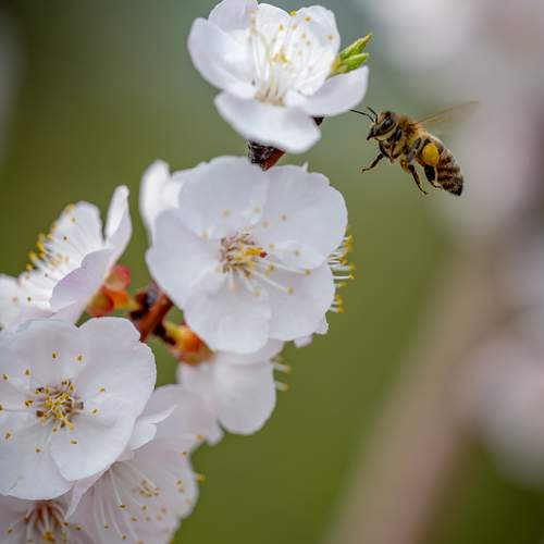 Photo #12004434