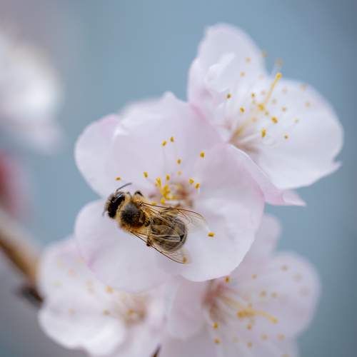 Photo #12004448
