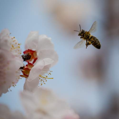 Photo #12004456