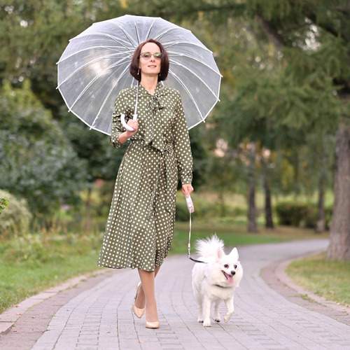 Photo #12004537