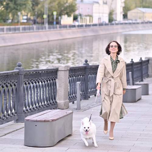 Photo #12004542
