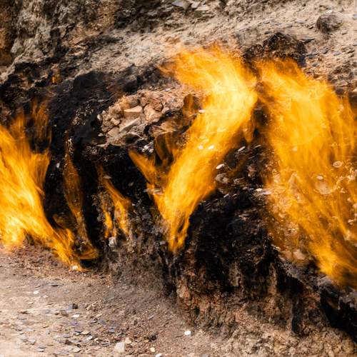 Photo #12004763