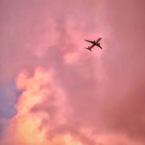 Photo #12004786