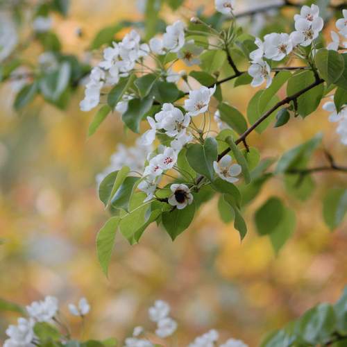 Photo #12005000