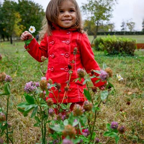 Photo #12005219