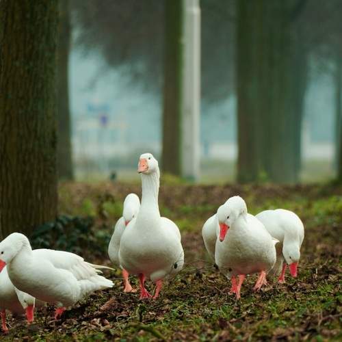 Photo #12005244
