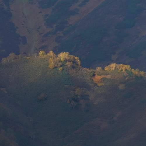 Photo #12005272