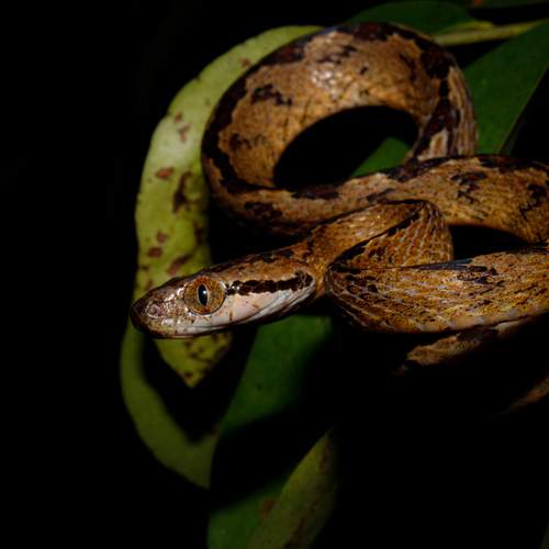 Photo #12005411