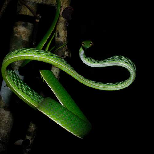 Photo #12005429