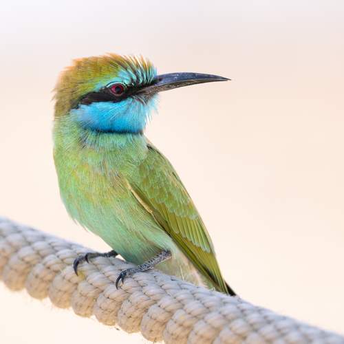 Photo #12005444