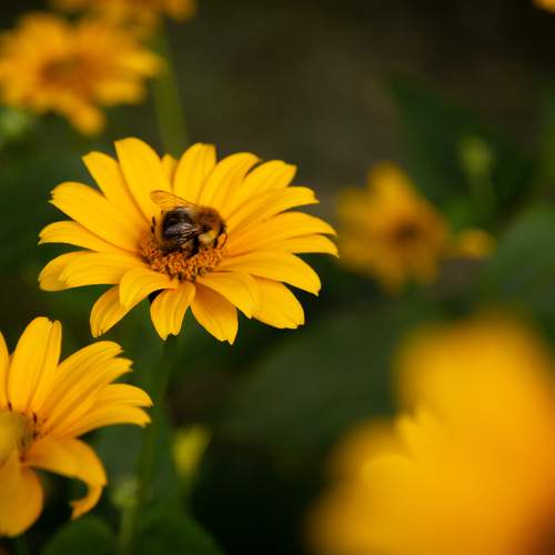 Photo #12005543