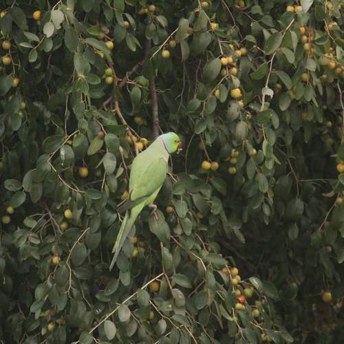Photo #12005548