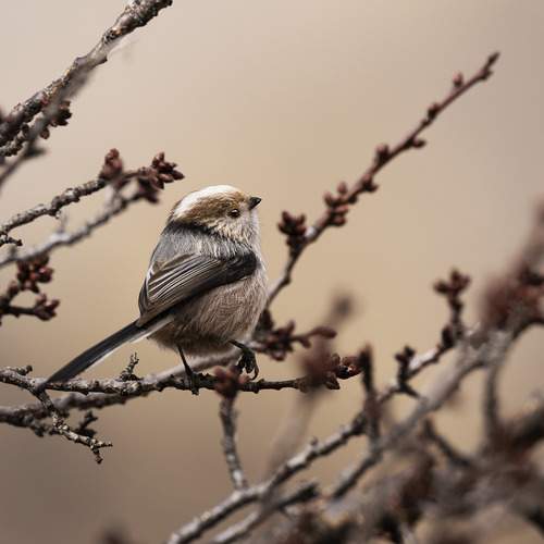 Photo #12005600