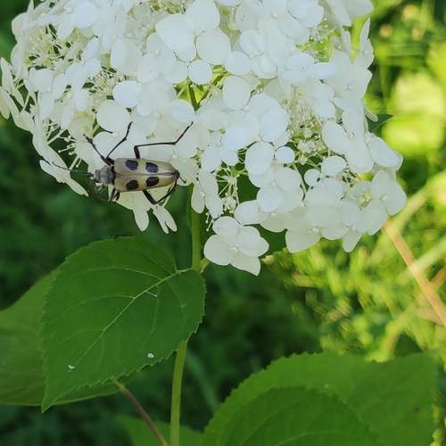Photo #12005778