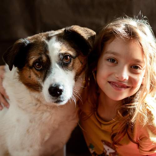 Photo #12005921