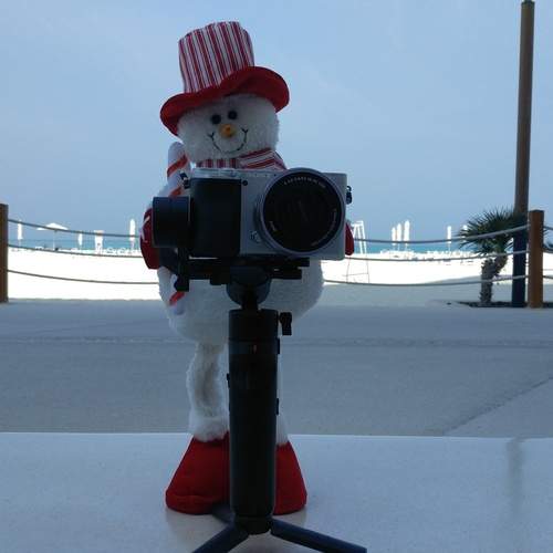 Photo #12005952