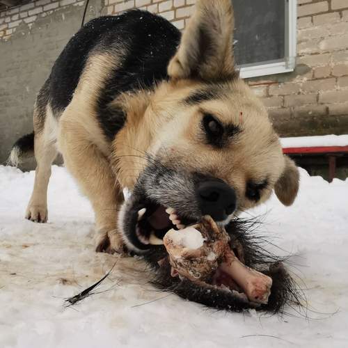 Photo #12006182