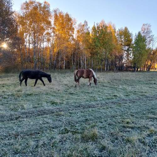 Photo #12006517