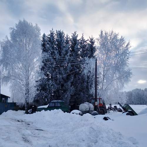Photo #12006538