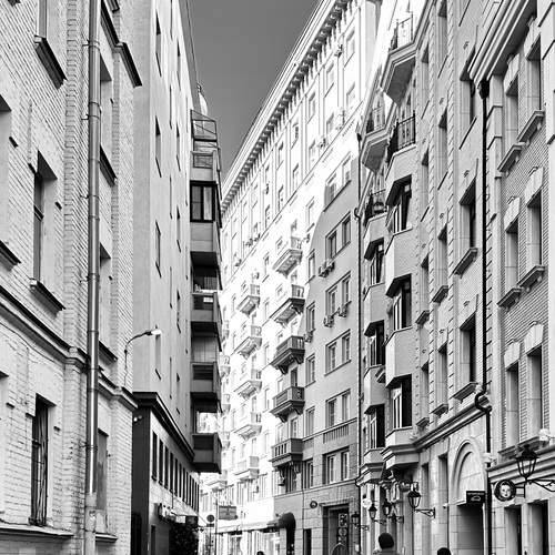 Photo #12006541